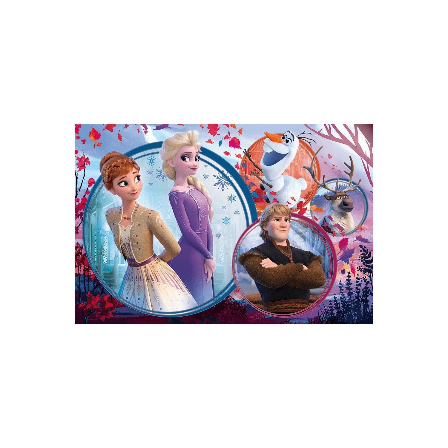 Elsa%20Frozen%20II%20Sister%20Adventure%20Kutulu%20Puzzle/Yapboz%20160’parça