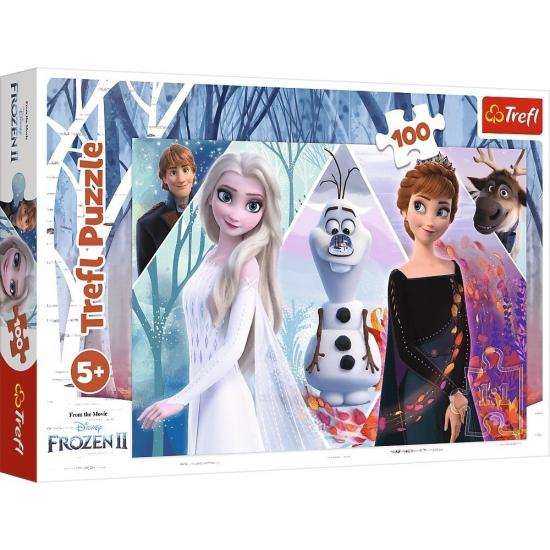 Elsa Frozen II Büyülü Toprak Kutulu Puzzle/Yapboz 100’parça