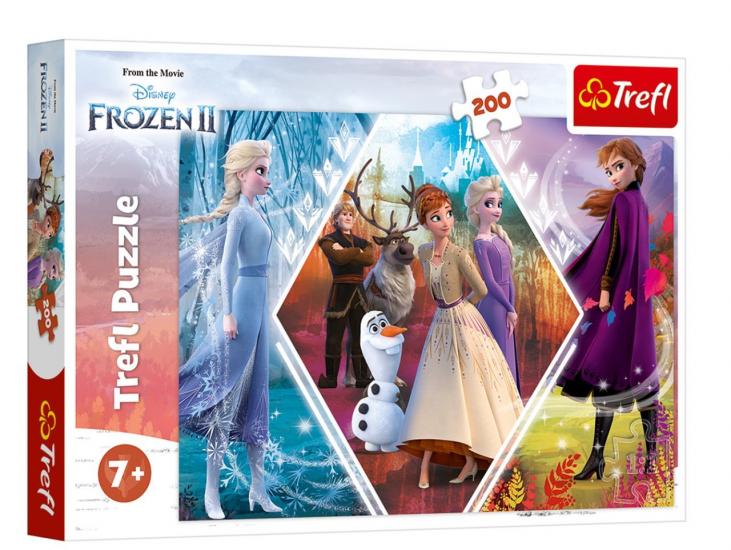 Elsa Frozen II Sisters In Frozen Kutulu Puzzle/Yapboz 200 parça